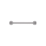Accessible Care 450mm Grab Rail, Stainless Steel fienza
