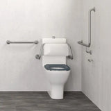 Accessible Care 450mm Grab Rail, Stainless Steel fienza
