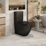 Norton Back-to-Wall Toilet Suite mercioaustralia