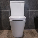Aluca Tornado Flush Back-to-Wall Toilet Suite, Gloss White fienza