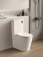Alpha Rimless Tornado Toilet Suite Poseidonbk
