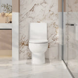 Moi Back-to-Wall Toilet Suite mercioaustralia