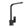 Black Standard Kitchen Mixer Aquaperla