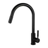 Black Pull Out Kitchen Mixer Aquaperla