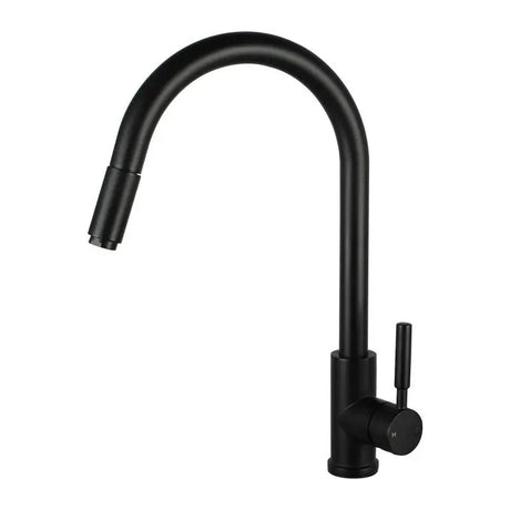 Black Pull Out Kitchen Mixer Aquaperla
