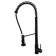 Black Pull Out Kitchen Mixer Aquaperla