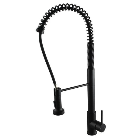 Black Pull Out Kitchen Mixer Aquaperla