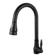 Black Pull Out Kitchen Mixer Aquaperla