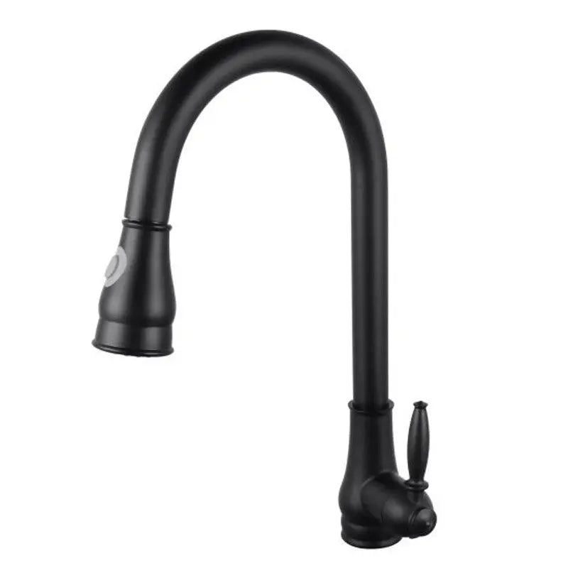 Black Pull Out Kitchen Mixer Aquaperla