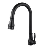 Black Pull Out Kitchen Mixer Aquaperla