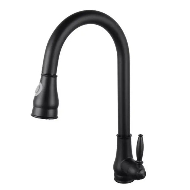 Black Pull Out Kitchen Mixer Aquaperla