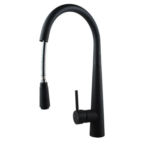 Black Pull Out Kitchen Mixer Aquaperla