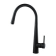 Black Pull Out Kitchen Mixer Aquaperla