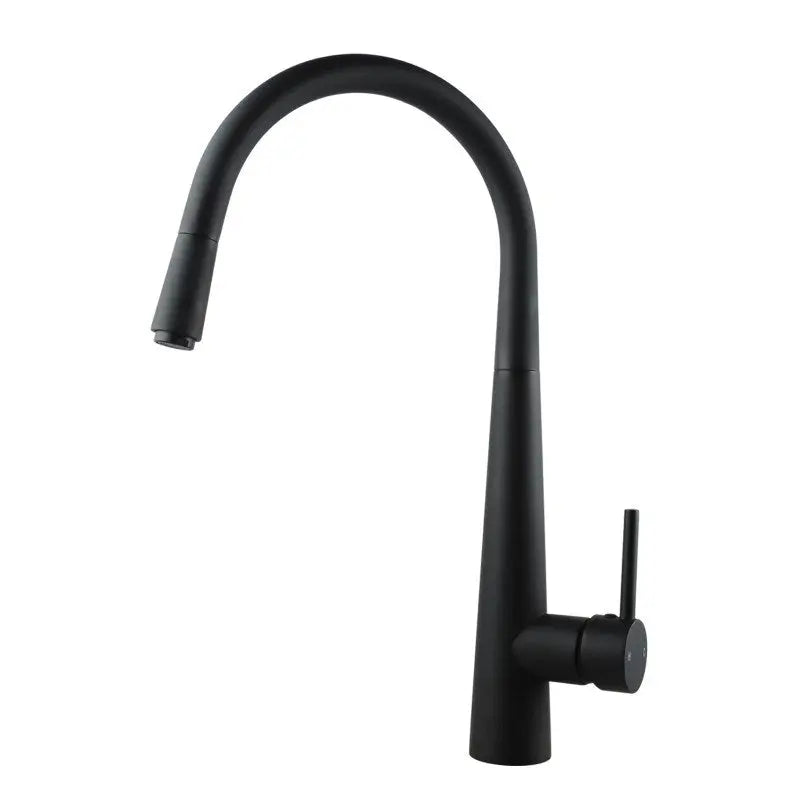 Black Pull Out Kitchen Mixer Aquaperla