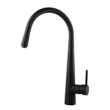 Black Pull Out Kitchen Mixer Aquaperla