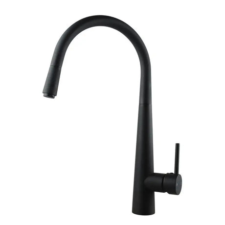Black Pull Out Kitchen Mixer Aquaperla