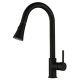 Black Pull Out Kitchen Mixer Aquaperla
