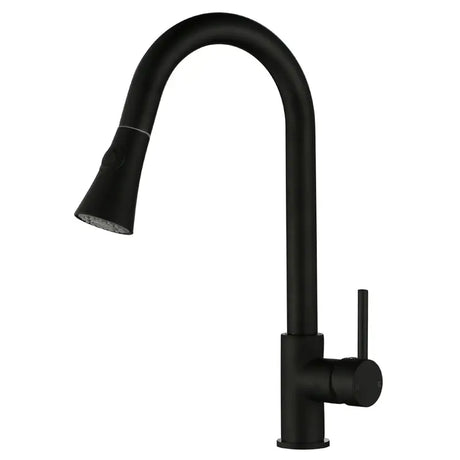 Black Pull Out Kitchen Mixer Aquaperla