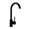 Black Standard Kitchen Mixer Aquaperla