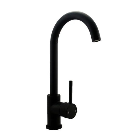 Black Standard Kitchen Mixer Aquaperla