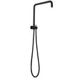 Black Shower Rail Aquaperla