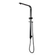 Black Shower Rail Aquaperla