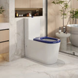 Pani Care-Accessible Back-to-Wall Toilet mercioaustralia