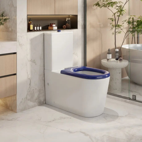 Pani Care-Accessible Back-to-Wall Toilet mercioaustralia