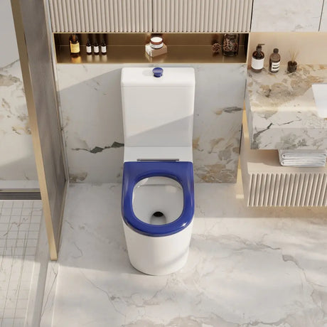 Pani Care-Accessible Back-to-Wall Toilet mercioaustralia