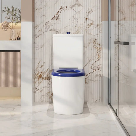Pani Care-Accessible Back-to-Wall Toilet mercioaustralia