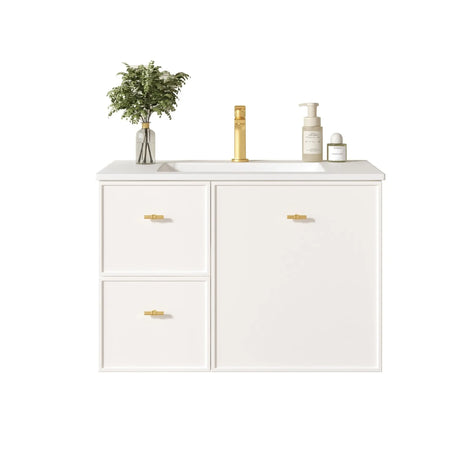 Seattle 750mm Wall-Hung Cabinet - Matt White mercioaustralia