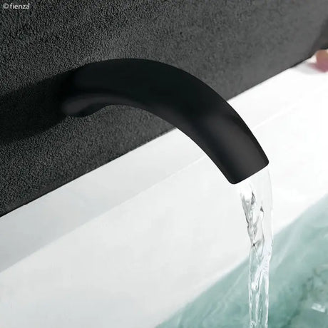 Citani Bath Outlet, Matte Black fienza