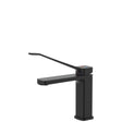 Tono Care Basin Mixer, Matte Black fienza