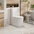 Walton Back-to-Wall Toilet Suite mercioaustralia