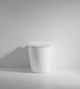 Bagno D'Oro River Rimless Back to Wall Toilet Pan Only Bagno D'Oro